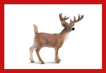 baltastainais_briedis