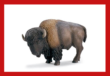 bizons