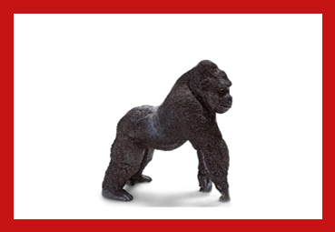 gorilla