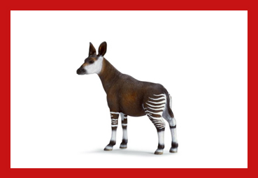 okapi