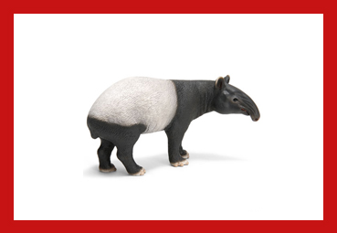 tapirs